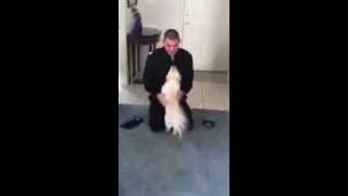 US Navy Sailor reunites with his dog
