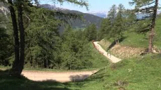 A la découverte des Tarines et Abondance