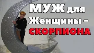 Муж для женщины Скорпиона. Брачный гороскоп. Совместимость Скорпиона  с мужчинами Знаков зодиака