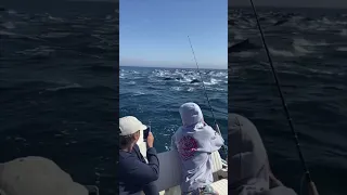 The Ocean can be terrifying!