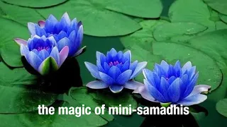 How can I experience Mini-Samadhis?