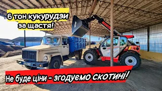 Соя по 300$😥 Вантажимо сою, соняшник та ...щебінь. Manitou MLT-X 737 проти Dieci AgriStar 37.7