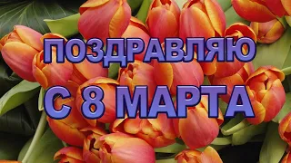 Видео Поздравление С Международным Женским Днем 8 Марта | Красивый Стих для Женщин