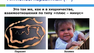 Экологические факторы и их влияние на экосистему, 5 класс естествознание