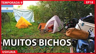 BARULHOS A NOITE NO CAMPING T09EP18