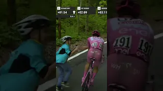 🤗 Was this gesture from Tadej Pogačar the fan moment of the 2024 Giro d'Italia?  #gcn #giroditalia