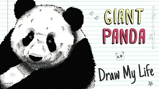 PANDAS 🐼🎋 | Draw My Life