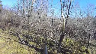 Partridge Porn: Hunting Grouse in New Brunswick