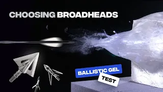 Choosing Broadheads For Bat Reverse (Ballistic Gel Test)