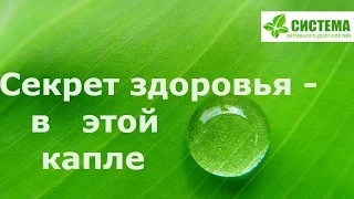 САД. Продукция здоровья. Флуревиты. Система активного долголетия.