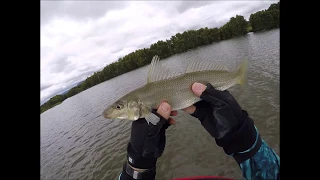 Top Water Whiting Rnd 2