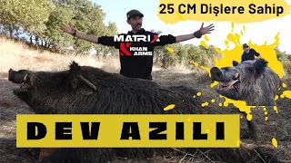 Azılı Domuz Avı 25 cm Dişlerle Aksiyon Dolu Anlar -Khan Arms Matrix -GENÇ AVCI