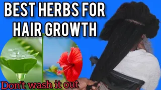 Unlock the SECRETS of GORGEOUS HAIR: Aloe Vera and Hibiscus for Hair Growth and Health