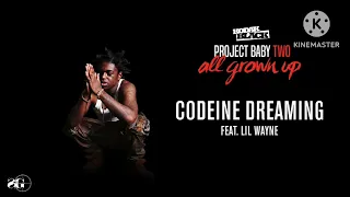 Kodak Black - Codeine Dreaming (feat. Lil Wayne) [Official Audio] (432Hz)