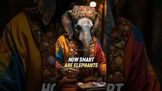 Joe Rogan: How SMART Are Elephants #joerogan #elephants