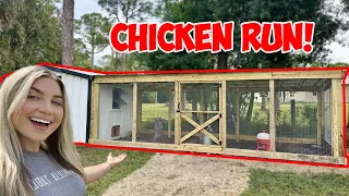 BUILDING A MASSIVE CHICKEN COOP RUN!