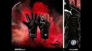 PUMA evoDISC Goalkeeper Gloves