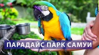 Парадайз Парк Самуи Цены  Отзывы | Авитип