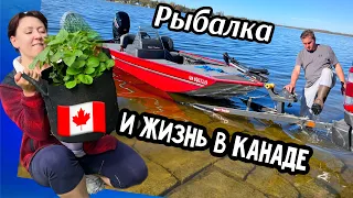 Рыбалка и жизнь в Канаде🇨🇦//высаживаем рассаду// рыбачим // готовим кушать