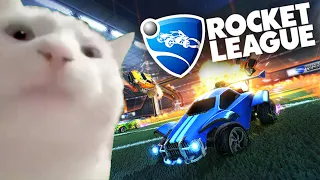 10 Hours of Cat Vibing to Rocket League Intro