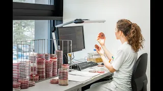 Institut für Pathologie am LKH Feldkirch