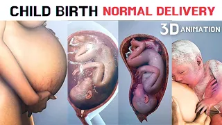 Normal Delivery - Child Birth 3D Animation