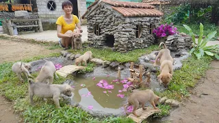 Rescue Abandoned Puppies To Build House - Harvesting Jackfruit, Coconut, Fish Go to the market sell