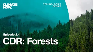 Carbon Dioxide Removal: Forests | Climate Now Ep. 2.4