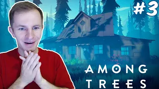 ЧЕРДАК ДЛЯ ХРАНЕНИЯ В ДОМИКЕ ПОСРЕДИ ЛЕСА | AMONG TREES #3