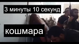 Иди и смотри: ужасный захват израильских заложниц