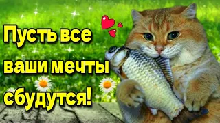 ☕Самого доброго весеннего утра!💗 Благословенного дня!💗Красивая музыкальная открытка🌞