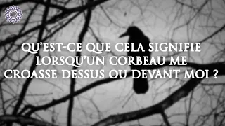 🐦QU'EST-CE QUE CELA SIGNIFIE LORSQU'UN CORBEAU ME CROASSE DESSUS OU DEVANT MOI ?