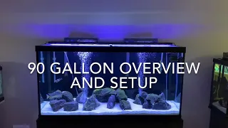 90 gallon freshwater aquarium