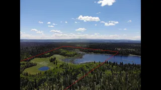 Sold. Willow Lake Acreage - For Sale