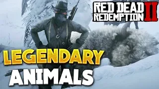Red Dead Redemption 2 All Legendary Animals Locations! RDR2