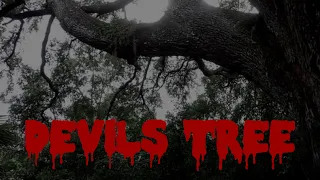 Devil's Tree Vlog!! Oak Hammock Park, Port St. Lucie Florida | Courtney Graben