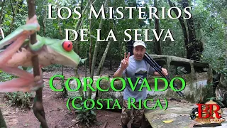 Los misterios de la selva de Corcovado (Costa Rica).
