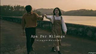 Apa Fer Milange  || Apa Fer Milaange || [Slowed Reverb] || Makeupyours