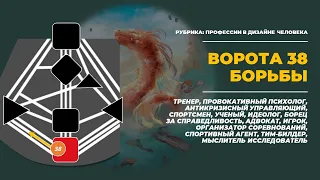 ПРОФЕССИИ 38 ВОРОТ БОРЬБЫ || Дизайн Человека || Лившиц Лев