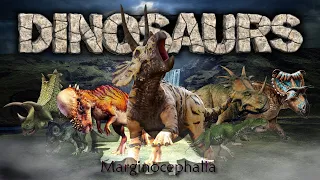 Dinosaurs VI : Ornithischia - Marginocephalia