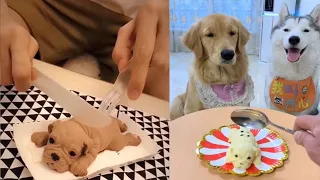 Funny Dog Reaction to Cutting Cake 2021 _ Super Dogs_HD