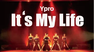 It's My Life／VIVERE REGINA｜Choreographer：RINKA