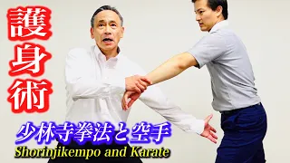 Self Defense Techniques of Shorinji Kempo and Karate!