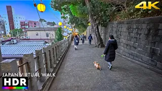 Japan - Tokyo walk to Kanagawa • 4K HDR