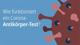 Wie funktioniert ein Corona-Antikörper-Test?