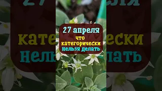 27 апреля народный праздник день День Мартына Лисогона. Что нельзя делать. Народные приметы