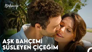 Yanımdan Hiç Ayrılmayacaksın! - Ateşböceği 13. Bölüm