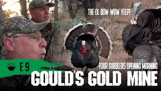 GOULD'S GOLD MINE -  | Turkey Ninja S4:E9