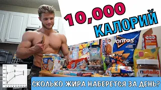 10000 калорий за 24 часа. Как много ЖИРА я наберу? | Джефф Ниппард