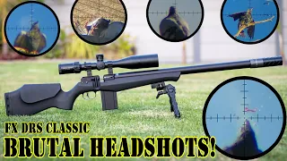 Brutal Headshots! with the FX DRS Classic | Review | 18.1gr JTS Pellets | Airgun Pest Control